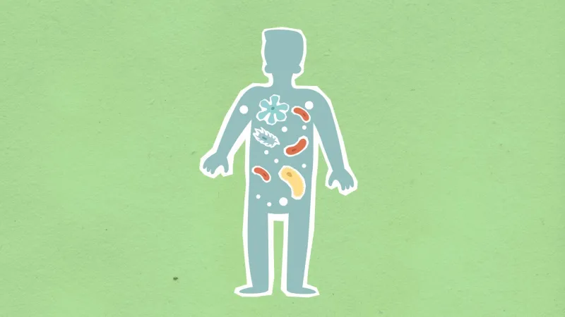Microbiota intestinale in squilibrio: cause, conseguenze e strategie per ritrovare l'equilibrio